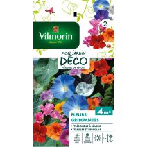 Graines Mélange de Fleurs Grimpantes 4m² - VILMORIN