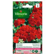 Graines Géranium Eclat Rouge HF2 - VILMORIN