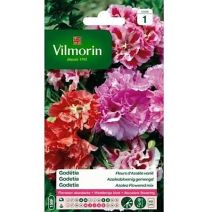 Graines Godétia Fleurs d'Azalée Varié - VILMORIN