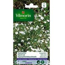Graines Gypsophile Nuage Blanc - VILMORIN