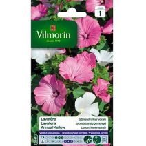 Graines Lavatère à Grande Fleur Variée - VILMORIN