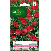 Graines Lin de Venise - VILMORIN