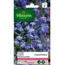 Graines Lobélia Crystal Palace - VILMORIN