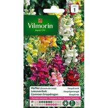 Graines Muflier Goupil Varié - VILMORIN