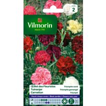Graines Œillet des Fleuristes Triomphe Varié - VILMORIN