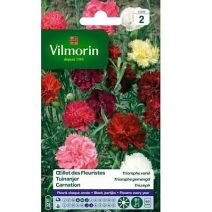 Graines Œillet des Fleuristes Triomphe Varié - VILMORIN