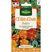 Graines Œillet d'Inde Boléro - VILMORIN