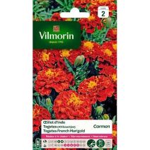 Graines Œillet d'Inde Carmen - VILMORIN