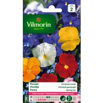 Graines Pensée Printania Variée - VILMORIN