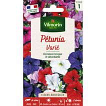 Graines Pétunia Varié - VILMORIN