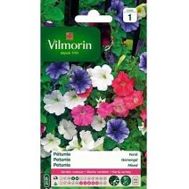Graines Pétunia Varié - VILMORIN