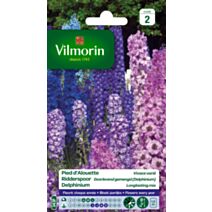 Graines Pied d'Alouette Vivace Varié - VILMORIN