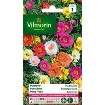 Graines Pourpier Double Varié - VILMORIN