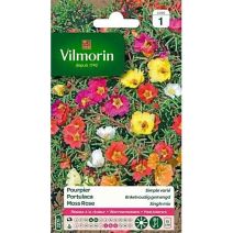 Graines Pourpier Simple Varié - VILMORIN