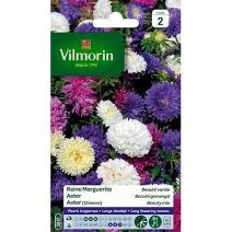 Graines Reine Marguerite Beauté Variée - VILMORIN