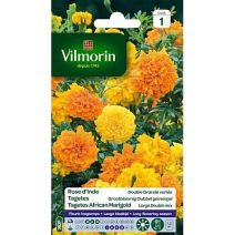 Graines Rose d'Inde Double Grande Variée - VILMORIN