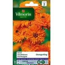 Graines Souci Orange King - VILMORIN