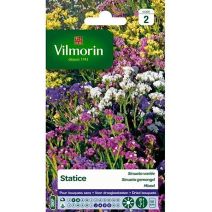 Graines Statice Sinuata Variée - VILMORIN