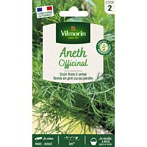 Graines Aneth Officinal - VILMORIN