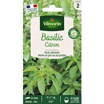 Basilic citron série 2 - VILMORIN