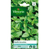 Graines Basilic Marseillais - VILMORIN