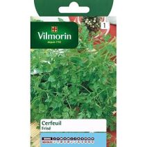 Graines Cerfeuil Frisé - VILMORIN