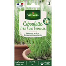 Graines Ciboulette Très Fine Danoise - VILMORIN