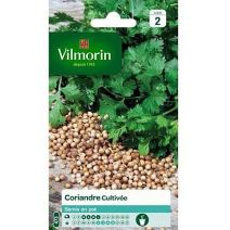 Graines Coriandre Cultivée - VILMORIN