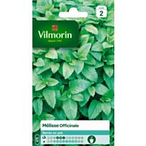 Graines Mélisse Officinale - VILMORIN