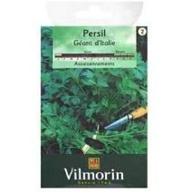 Graines Persil Gigante d'Italia - VILMORIN