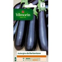 Graines Aubergine de Barbentane - VILMORIN