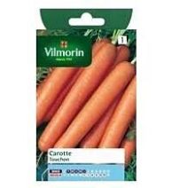 Graines Carotte Touchon - VILMORIN