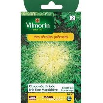 Graines Chicorée Frisée Très Fine Maraîchère 3 - VILMORIN