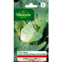 Graines Chou Blanc Cœur de Bœuf Moyen de La Halle - VILMORIN