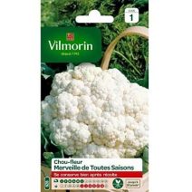 Graines Chou Fleur Merveille des 4 Saisons - VILMORIN