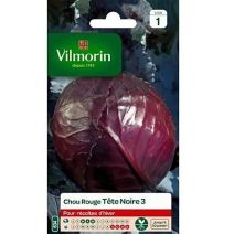 Graines Chou Rouge Tête Noire 3 - VILMORIN