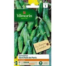 Graines Cornichon Vert Petit de Paris - VILMORIN