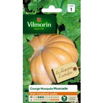 Graines Courge Musquée d'Hiver de Provence - VILMORIN