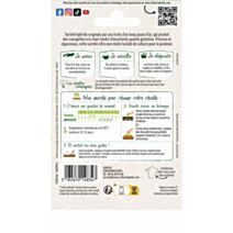 Graines Courgette Orélia HF1 - VILMORIN