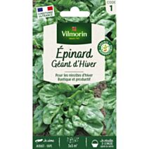 Graines Epinard Géant d'Hiver - VILMORIN