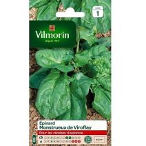 Graines Epinard Monstrueux de Viroflay - VILMORIN