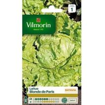 Graines Laitue Batavia Blonde de Paris - VILMORIN