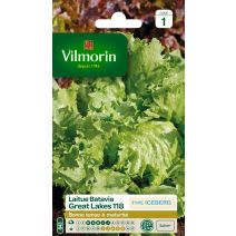 Graines Laitue Batavia Great Lakes 118 - VILMORIN