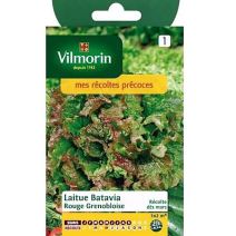 Graines Laitue Batavia Rouge Grenobloise - VILMORIN