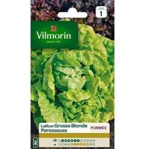 Graines Laitue Pommée Grosse Blonde Paresseuse - VILMORIN