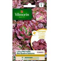 Graines Laitue Merveille des 4 Saisons - VILMORIN