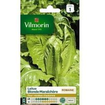 Graines Laitue Romaine Blonde Maraîchère - VILMORIN