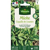 Graines Mâche Coquille de Louviers - VILMORIN