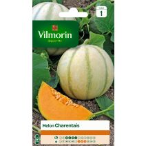 Graines Melon Charentais - VILMORIN