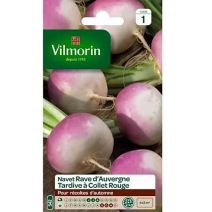 Graines Navet Légume Rave d'Auvergne Tardive - VILMORIN